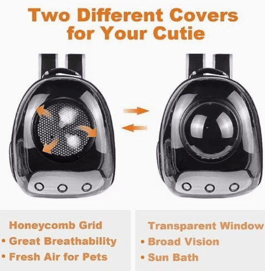 Transparent 2 In 1 Cat Carrier Backpack