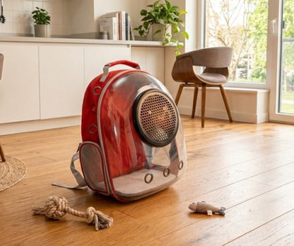 Transparent 2 In 1 Cat Carrier Backpack
