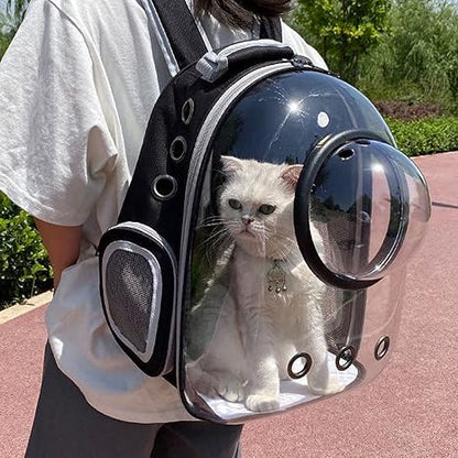 Transparent 2 In 1 Cat Carrier Backpack
