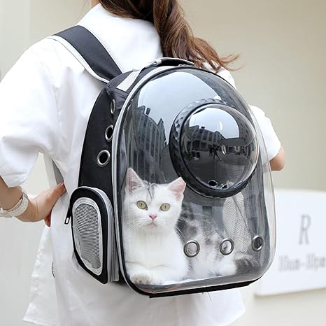 Transparent 2 In 1 Cat Carrier Backpack