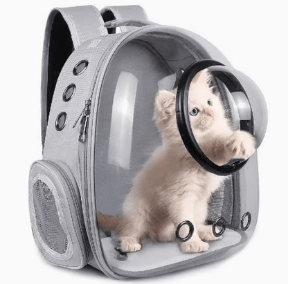 Transparent 2 In 1 Cat Carrier Backpack