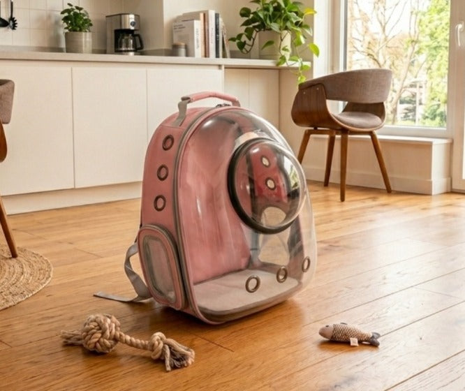 Transparent 2 In 1 Cat Carrier Backpack