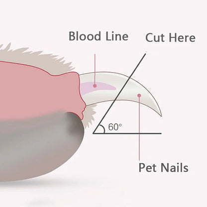 Upgraded 2.0 Smart LED Nail Cutter