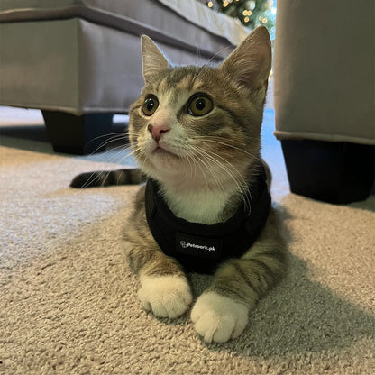Voyager Cat Jacket Harness