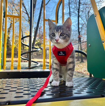 Voyager Cat Jacket Harness