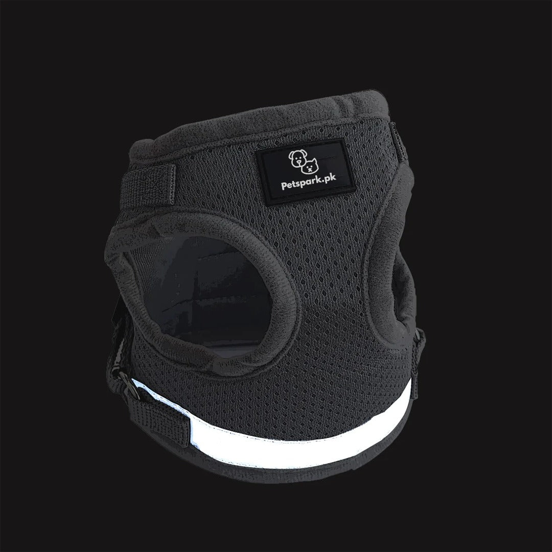 Voyager Cat Jacket Harness