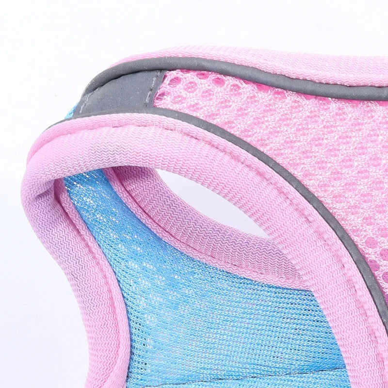Voyager Cat Jacket Harness