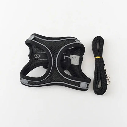 Voyager Cat Jacket Harness