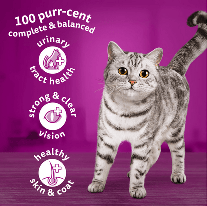 WHISKAS Dry Cat Food Chicken 1+ Years