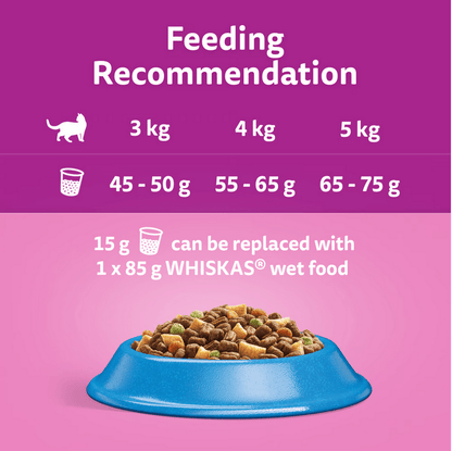 WHISKAS Dry Cat Food Tuna 1+ Year
