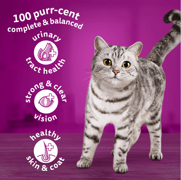 WHISKAS Dry Cat Food Tuna 1+ Year