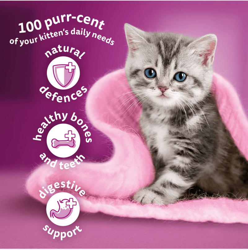 WHISKAS Kitten Dry Food Chicken 2-12 Months 300Grams