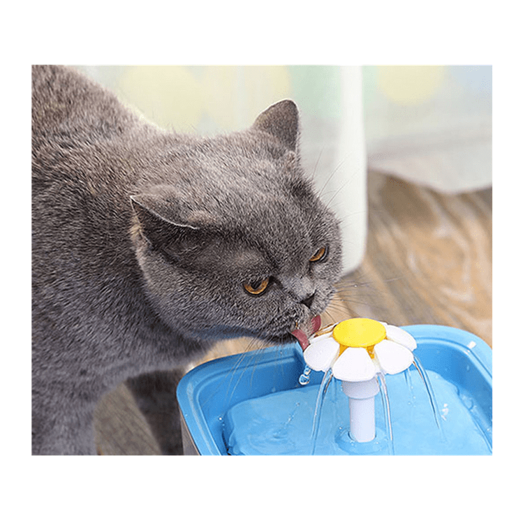 Water Fountain for Cats 2.0 Litres