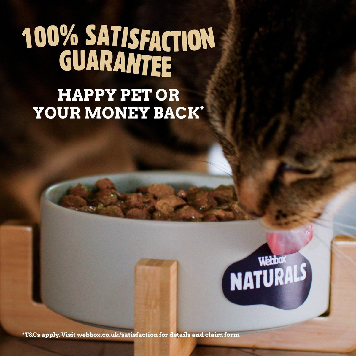 Webbox Naturals Jelly Wet Cat Food 100Grams