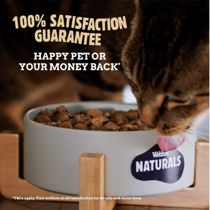 Webbox Naturals Jelly Wet Kitten Food 100Grams