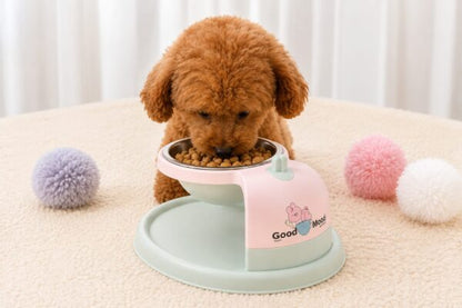 Good Mood 2-in-1 Elevated Stainless Steel Bowl For Food and Water