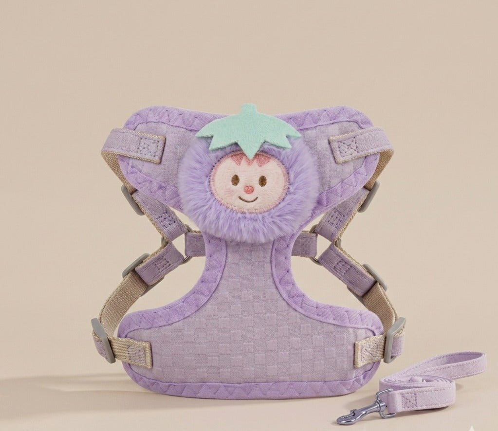 Cute Fruit Charm Harness & Leash for Cats & Puppies Medium