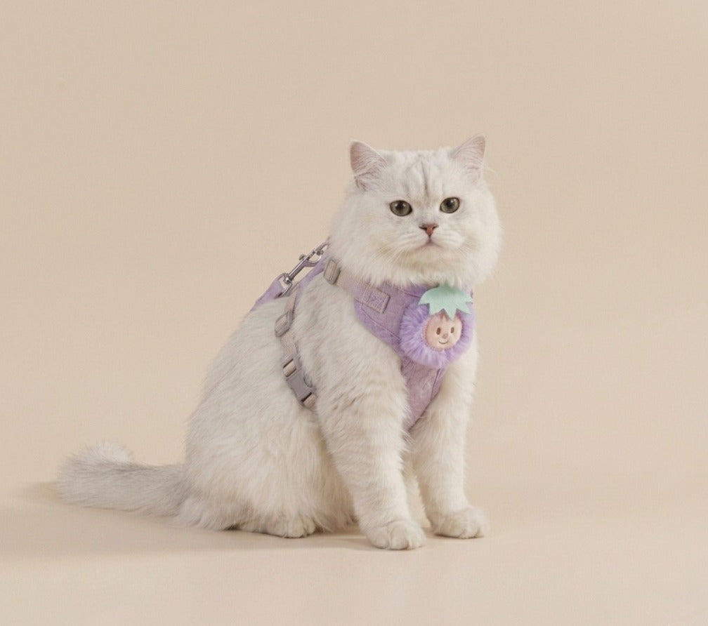 Cute Fruit Charm Harness & Leash for Cats & Puppies Medium