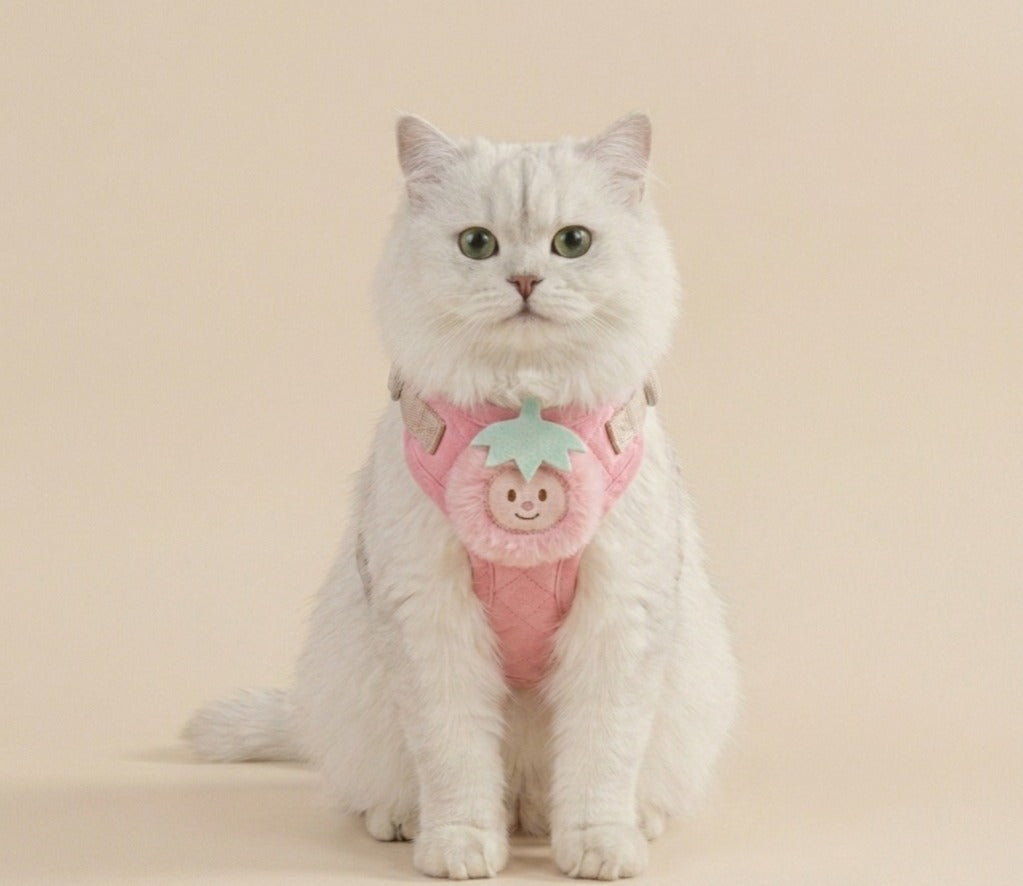 Cute Fruit Charm Harness & Leash for Cats & Puppies Medium