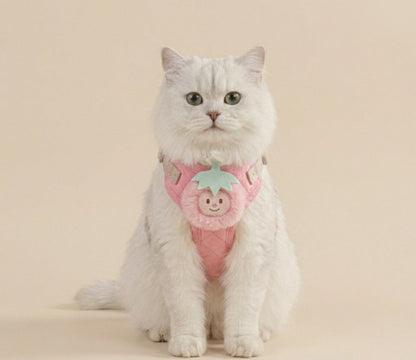 Cute Fruit Charm Harness & Leash for Cats & Puppies Medium