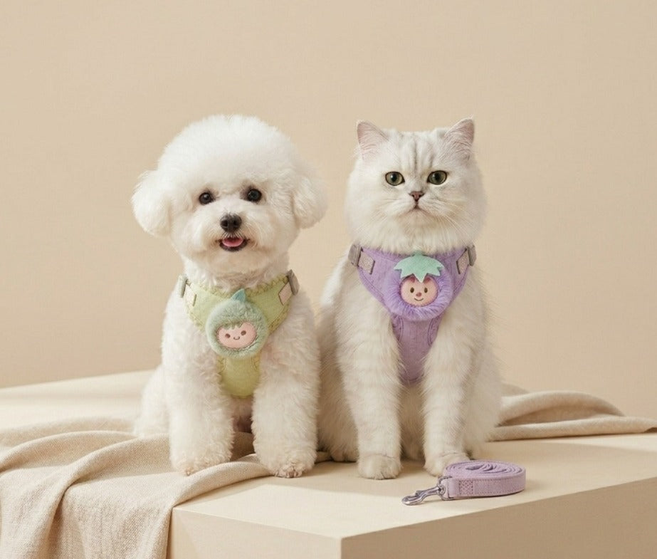 Cute Fruit Charm Harness & Leash for Cats & Puppies Medium