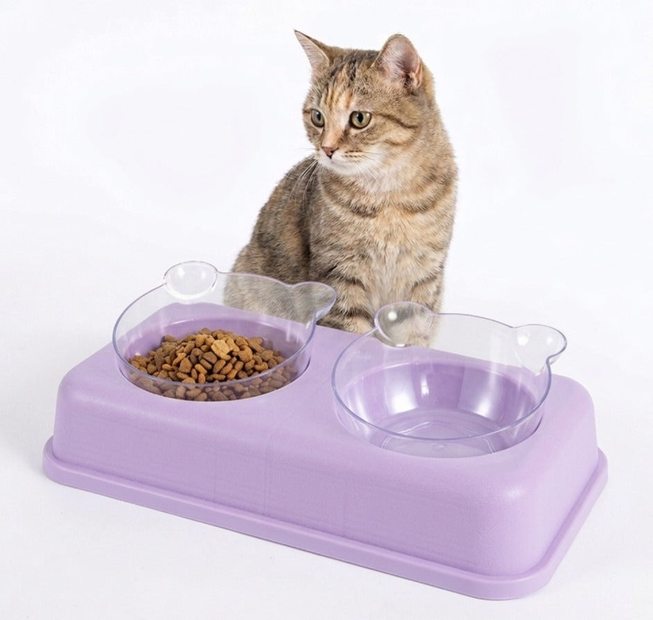 Washable Transparent Double Bowl for Pets