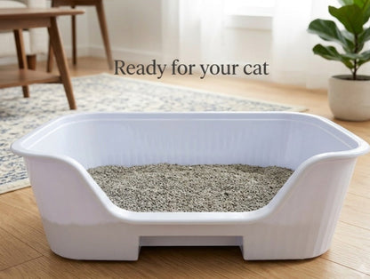 Easy Entry High-Sided Cat Litter Box