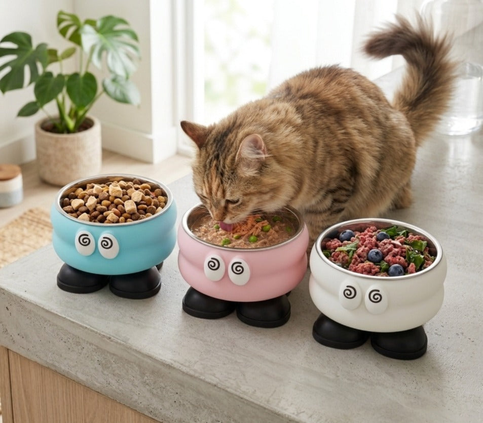 Adorable Elevated Stainless Steel Pet Bowl