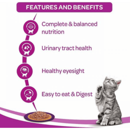 Whiskas Jelly Cat * 1 85gm Pouch