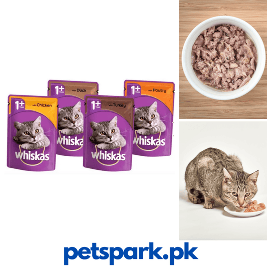 Whiskas Jelly Cat * 1 85gm Pouch