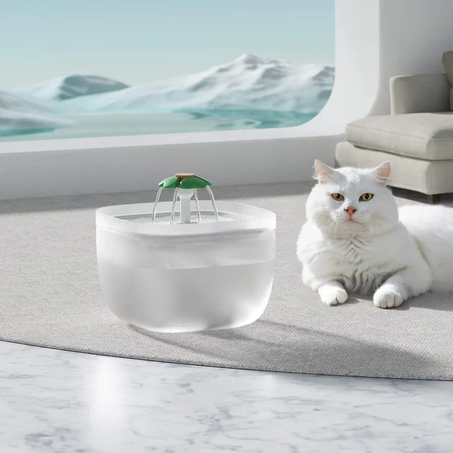 Transparent Water Fountain 2.0 Litres